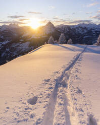 Ski tracks on snowcapped peak of Schonkahler mountain at sunrise - MALF00042