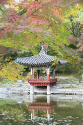 Geheimer Garten im Changdeokgung-Palast, UNESCO-Weltkulturerbe, Seoul, Südkorea, Asien - RHPLF16292