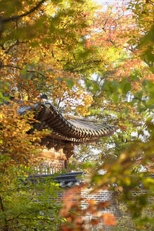 Geheimer Garten im Changdeokgung-Palast, UNESCO-Weltkulturerbe, Seoul, Südkorea, Asien - RHPLF16293