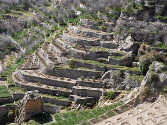 Terrassengärten säumen die Klippen in der Nähe traditioneller Dörfer auf dem Sayq-Plateau, Sultanat Oman, Naher Osten - RHPLF16342