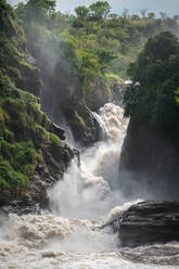 Blick auf die Murchison Falls, Uganda, Afrika - RHPLF16462