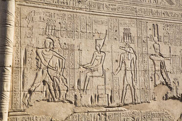 Flachrelief, Außenwand, Tempel des Khnum, Esna, Ägypten, Nordafrika, Afrika - RHPLF16528