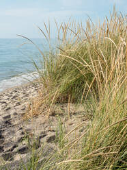 Seegräser am Strand des Lake Michigan, Sleeping Bear Dunes National Park, Glen Arbor, Michigan, Vereinigte Staaten von Amerika, Nordamerika - RHPLF16632