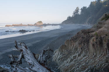 Pacific coast beach, Olympic National Park, UNESCO World Heritage Site, Washington State, United States of America, North America - RHPLF16639