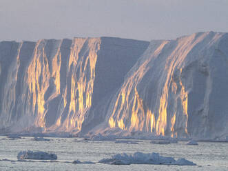 Sea ice, tabular icebergs, and brash ice in Erebus and Terror Gulf, Weddell Sea, Antarctica, Polar Regions - RHPLF16824