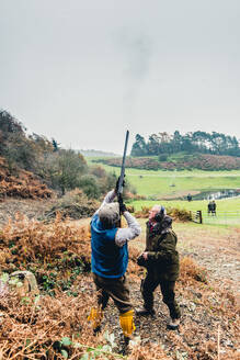 Gewehr auf einem Hügel, das auf Fasane schießt, die über den Berg fliegen, Vereinigtes Königreich, Europa - RHPLF16845