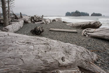 Driftwood logs, Pacific coast beach, Olympic National Park, UNESCO World Heritage Site, Washington State, United States of America, North America - RHPLF16851