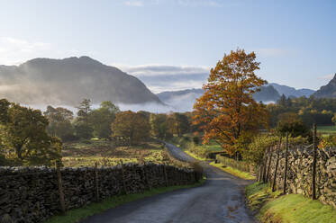 Herbstszene mit Morgennebel im Herbst, Borrowdale, Lake District National Park, UNESCO-Weltkulturerbe, Cumbria, England, Vereinigtes Königreich, Europa - RHPLF16876