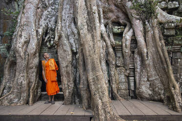 Ein buddhistischer Mönch blickt auf die Wurzeln eines Banyanbaums im archäologischen Komplex von Angkor, UNESCO-Weltkulturerbe, Siem Reap, Kambodscha, Indochina, Südostasien, Asien - RHPLF16899