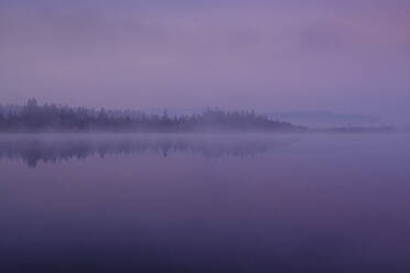 Kirchsee in der nebligen Morgendämmerung - LBF03169