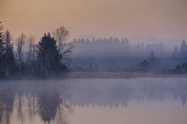 Kirchsee in der nebligen Morgendämmerung - LBF03180