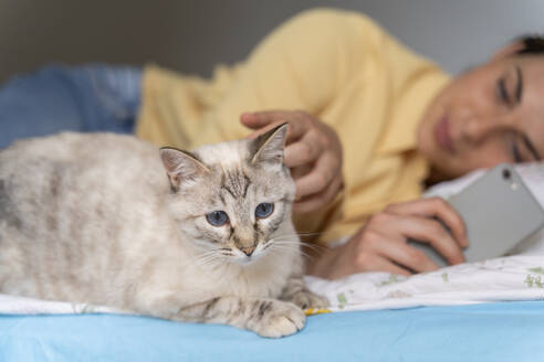 Frau mit Telefon schaut Katze an, während sie im Schlafzimmer liegt - AFVF06859