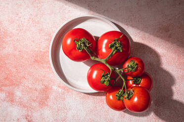 Studio shot of fresh tomatoes - FLMF00271