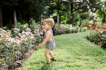 Kleinkind Junge Blick auf bunte Blumen draußen im Garten - CAVF87700