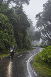 Frau fährt mit dem Tourenmotorrad durch den Regenwald, Jujuy / Argentinien - CAVF87717
