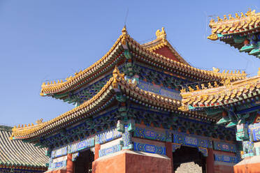 Confucius Temple, Beijing, China, Asia - RHPLF16976