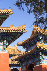 Konfuzius-Tempel, Peking, China, Asien - RHPLF16977