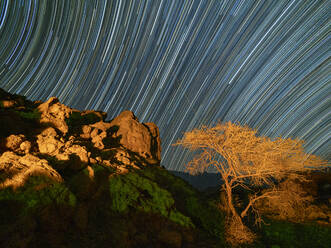 Sternenspuren bei Nacht im Wadi Mistall, Sultanat Oman, Naher Osten - RHPLF17034