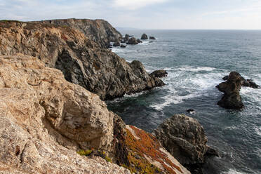 Sonoma Coast, California, United States of America, North America - RHPLF17114