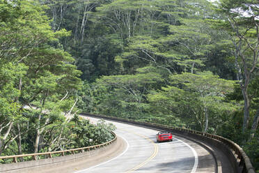 Hochstraße durch einen Wald, Kauai, Hawaii, Vereinigte Staaten von Amerika, Nordamerika - RHPLF17143