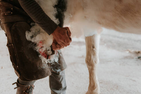 Unbekannter Hufschmied legt heißes Hufeisen auf den Huf eines weißen Pferdes auf einer Ranch - ADSF07276