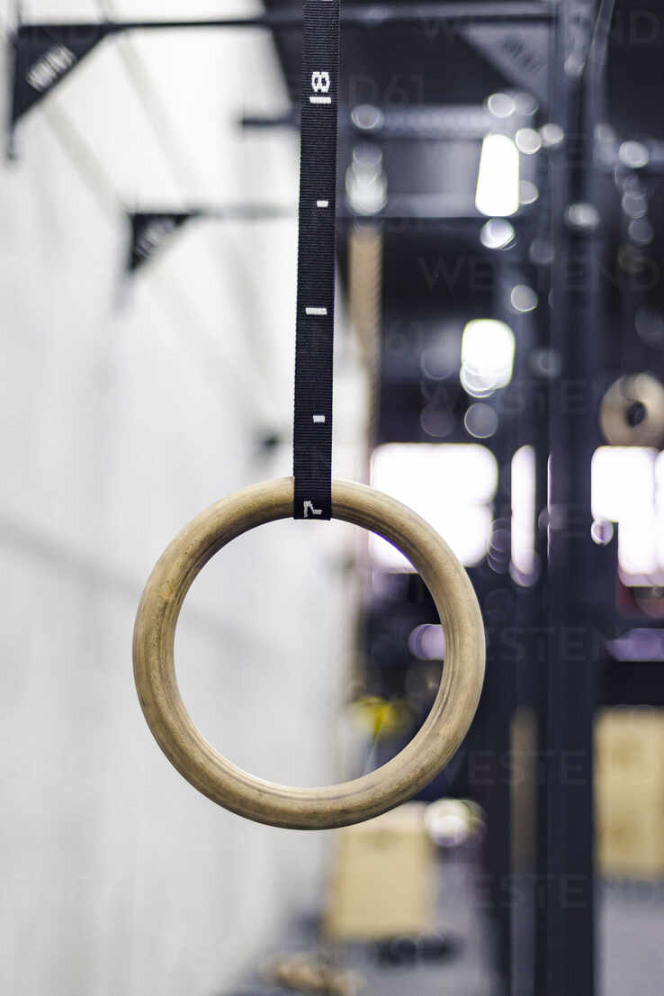 Metal Gymnastic Rings Hanging Swings Physical Fitness - Temu