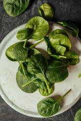 Fresh spinach on a rustic concrete crockery, grunge background - ADSF07417