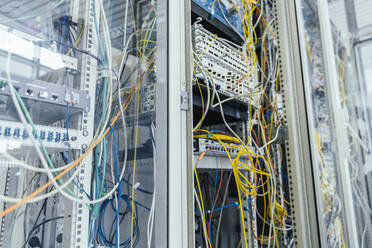 Nahaufnahme von Kabeln in einer Computeranlage im Rechenzentrum - MFF05974