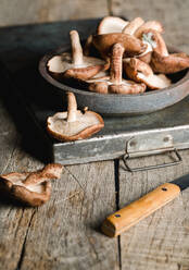 Ein Stapel frischer brauner Pilze auf einem rustikalen Holztisch - ADSF07653