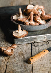 Pile of fresh brown mushrooms on rustic wooden table - ADSF07653