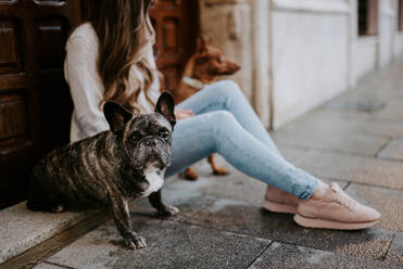 Trendy moderne Frau mit Bulldogge und Hund auf Straße Seite gehen lächelnd - ADSF07758