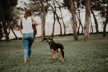 Niedlicher deutscher Schäferhund, der mit seinem Besitzer im grünen Park spazieren geht - ADSF07786