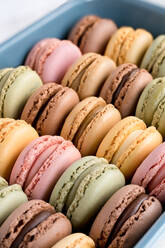 Colorful tasty macaroons displayed inside blue container - ADSF07806