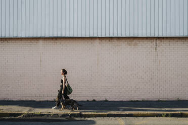 Woman walking with dog at sidewalk against wall - MEUF01713