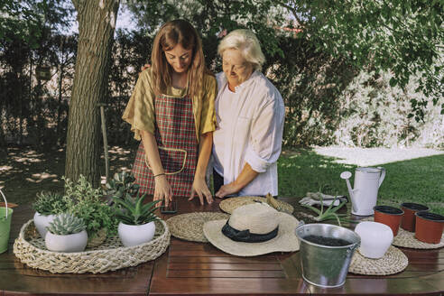 Senior woman standing with daughter using smart phone on table in yard - ERRF04114