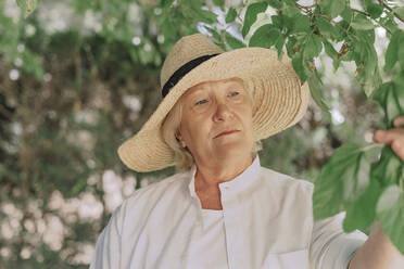 Close-up of senior woman wearing hat looking at plant in yard - ERRF04116