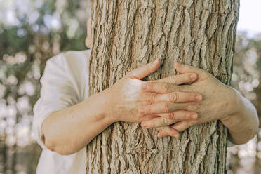 Hands of senior woman embracing tree trunk in yard - ERRF04126
