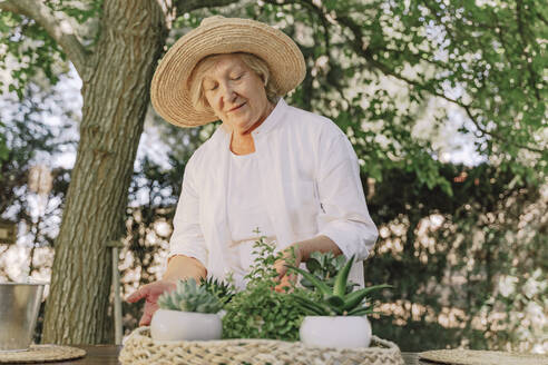 Senior woman wearing hat with potted plants on table standing in yard - ERRF04140