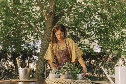 Mid adult woman arranging potted plants in tray on table against tree in yard - ERRF04145