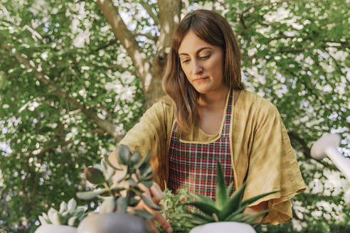 Mid adult woman taking care of potted plants against tree in yard - ERRF04146