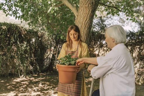 Mother examining potted plant held by daughter in yard - ERRF04149