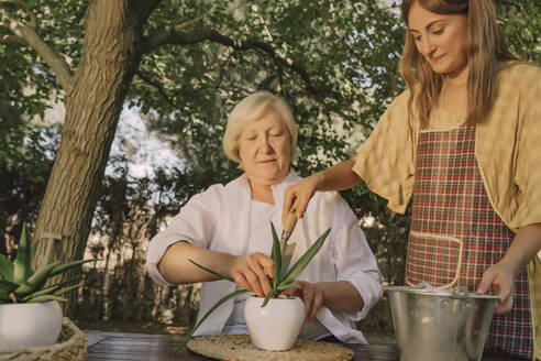 Senior woman with daughter planting on table in yard - ERRF04154