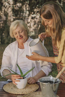 Daughter watering potted plant held by mother on table in yard - ERRF04155