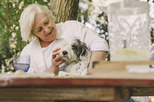 Smiling senior woman playing with dog while sitting at table in yard - ERRF04163