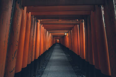 Fushimi Inari Taisha mit Steinweg, umgeben von roten Torii-Toren und beleuchtet von traditionellen Laternen - ADSF08436