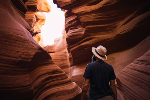 Back view of bearded male examining amazing walls of wonderful ravine during travel through West Coast of USA - ADSF08630