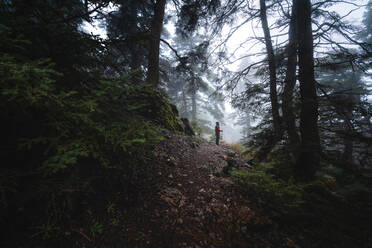 Unbekannter Wanderer in warmer Oberbekleidung auf steinigem Pfad im nebligen Wald an einem bewölkten Herbsttag - ADSF08727