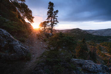 Wunderschöner Blick auf den Weg entlang des Berghangs im grünen Wald bei schönem Sonnenuntergang im Herbst - ADSF08728