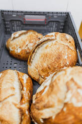 Close-up of baked bread in container - MRRF00179