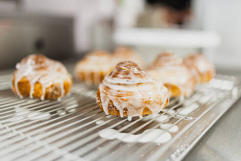 Cinnamon rolls on baking sheet at kitchen counter - MRRF00189